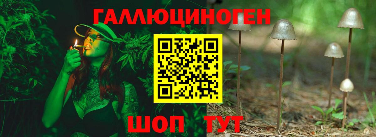 Псилоцибиновые грибы Magic Shrooms  Вход с VPN  Фурманов 